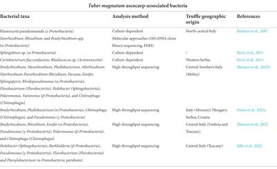 Role and potentialities of bacteria associated with Tuber magnatum: A mini-review